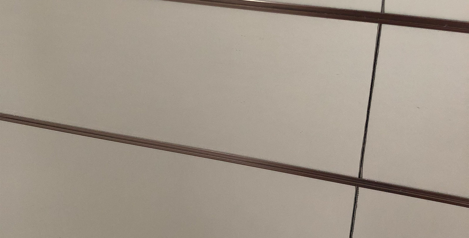 시야즈 한 신지 병원 프로젝트