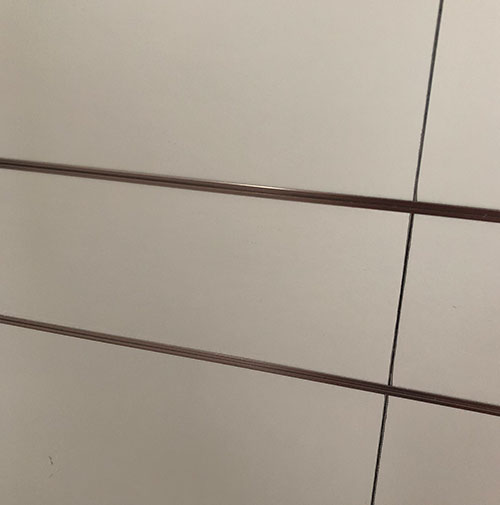 시야즈 한 신지 병원 프로젝트