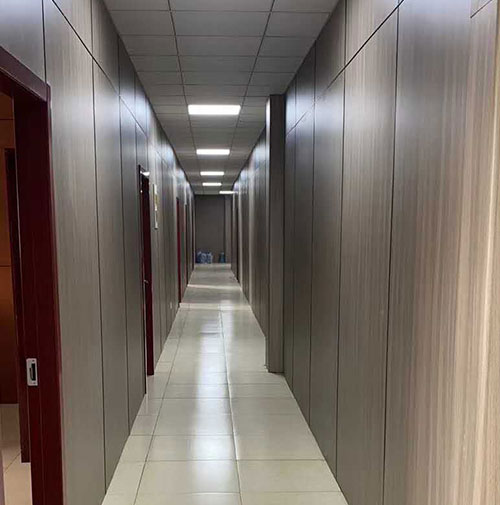 Hongze Lake 의료 및 간호 통합 프로젝트